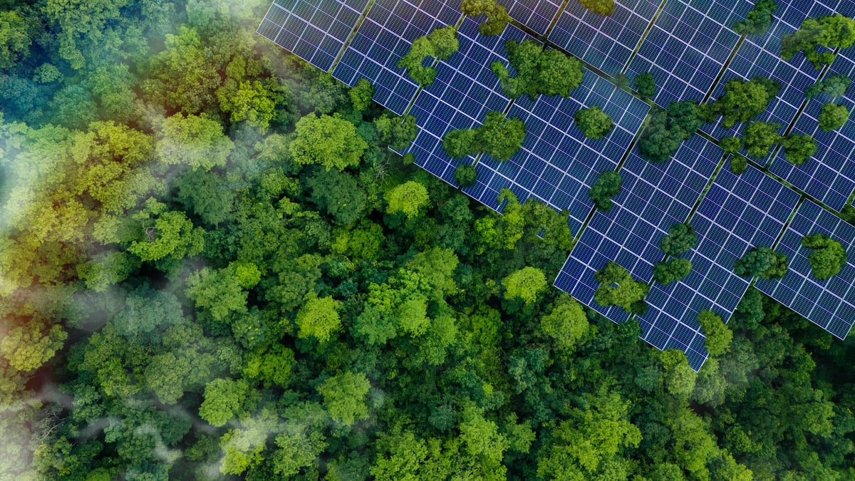 Solar panels installed in a green forest, representing clean alternative energy and environmental sustainability